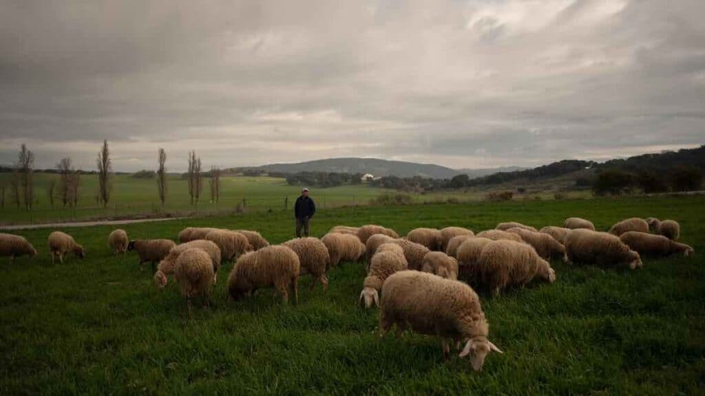 2022, les investissements agricoles en espagne sont tendance